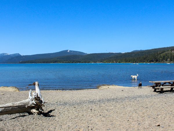 Lake Tahoe South Shore Home 981493