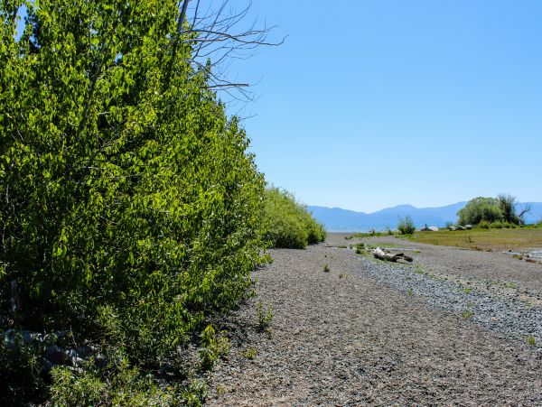 Lake Tahoe South Shore Home 981493