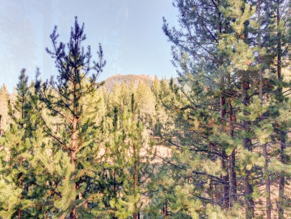 Lake Tahoe South Shore Home 981503