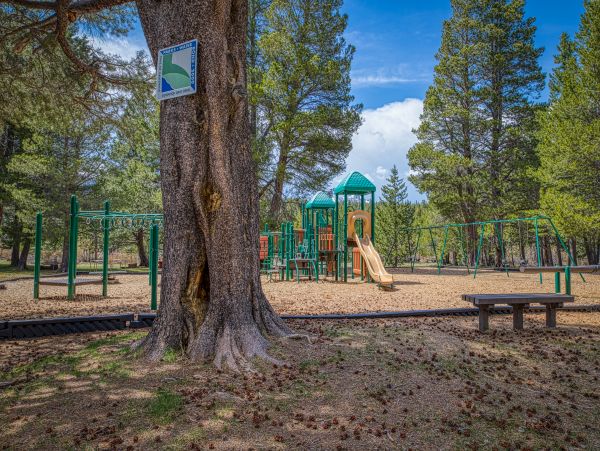 Lake Tahoe South Shore Home 981523