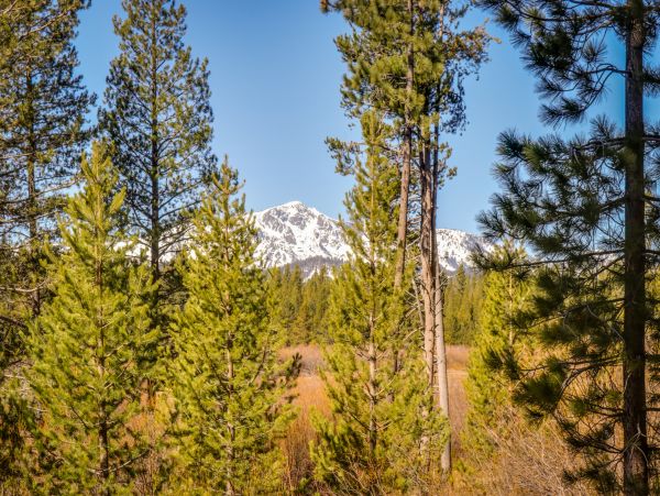 Lake Tahoe South Shore Home 981542