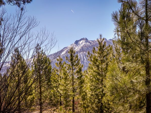 Lake Tahoe South Shore Home 981542