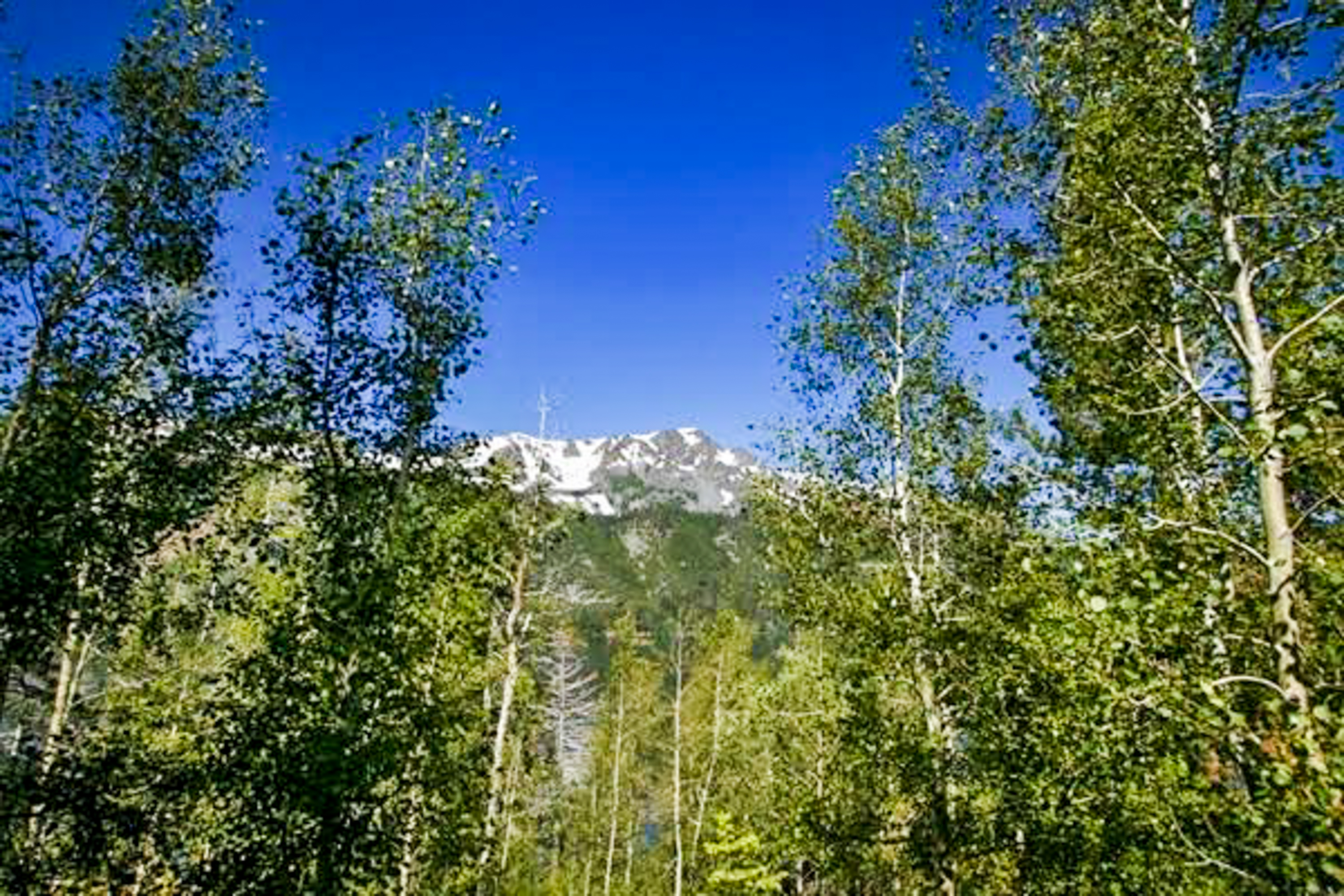 Lake Tahoe South Shore Home 981546