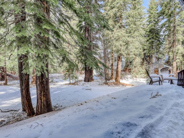 Lake Tahoe South Shore Home 981560