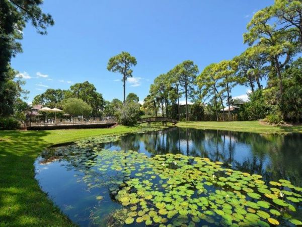 Sarasota Home 981564