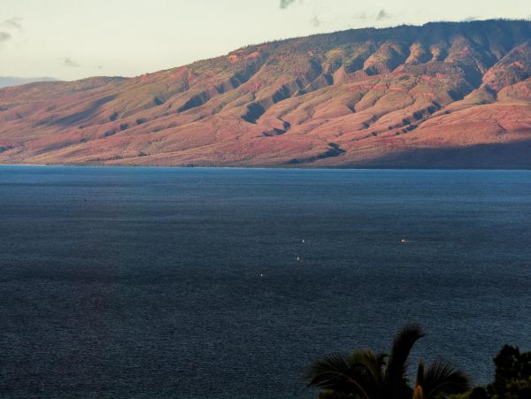 Lahaina Vacation Rental Home with Private Pool & Hot Tub