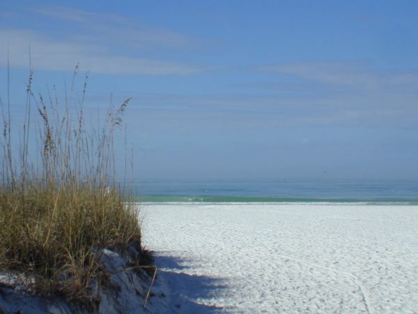 Casey Key Home 981568