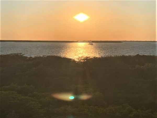 Casey Key Condo 981574