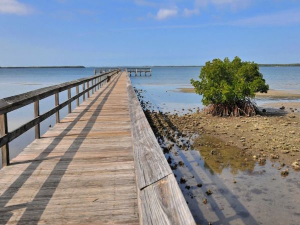 Casey Key Condo 981574
