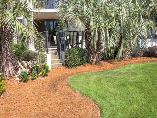 Beaches Of South Walton Condo 981604