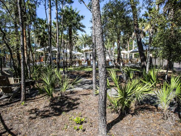 Beaches Of South Walton Home 981655