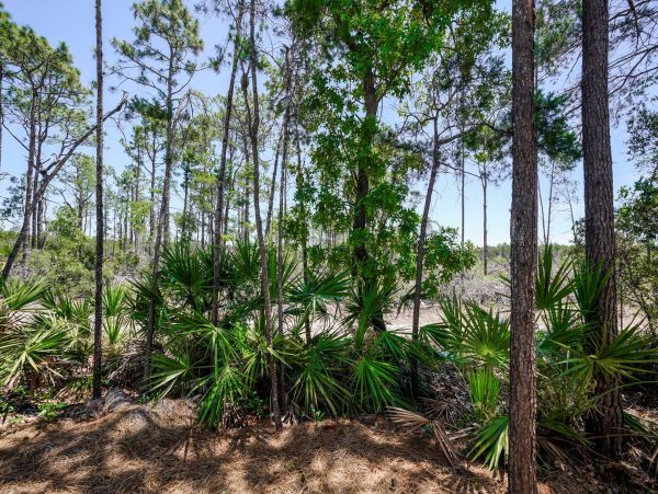 Beaches Of South Walton Home 981666