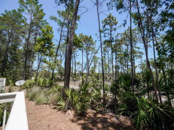 Beaches Of South Walton Home 981666