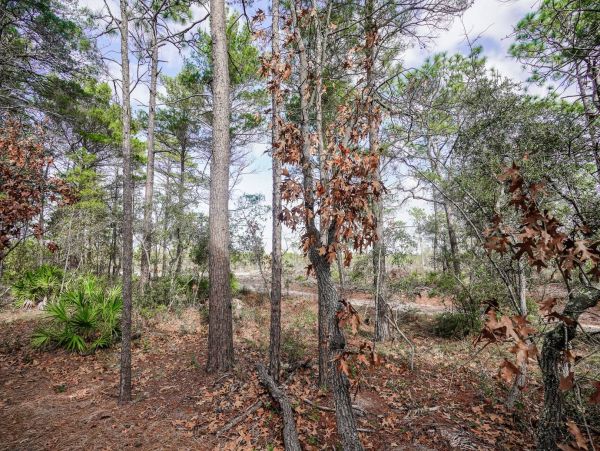 Beaches Of South Walton Home 981670