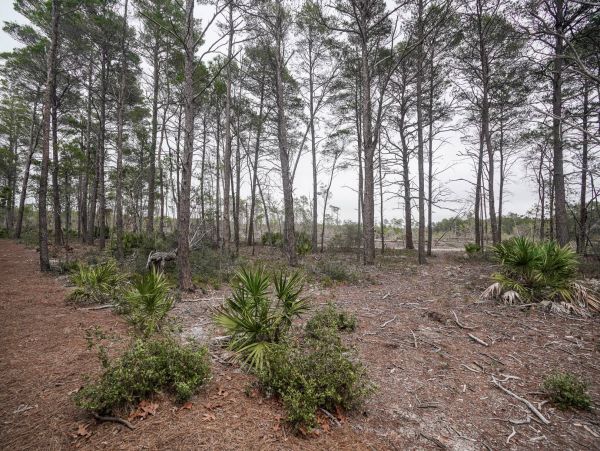 Beaches Of South Walton Home 981682