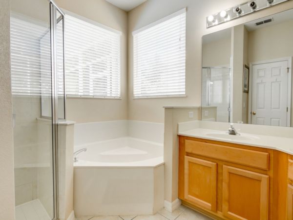 Orlando Home 982166