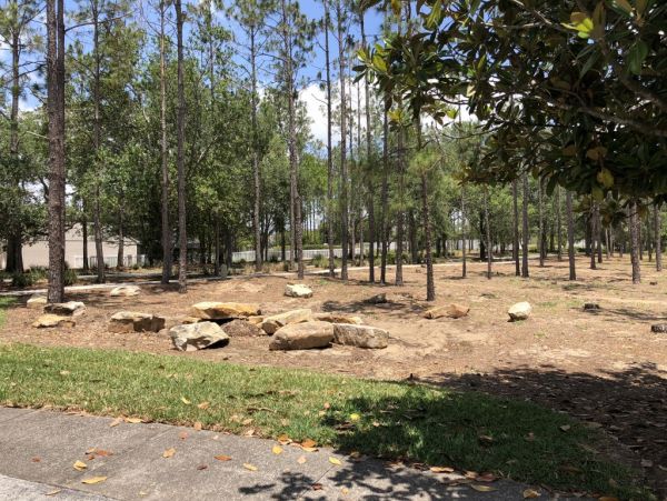 Orlando Home 982167