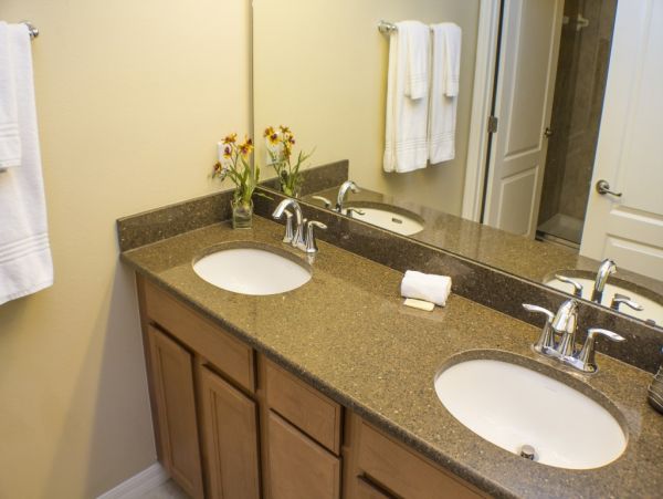Orlando Home 982179