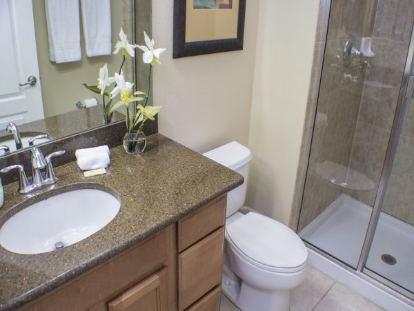 Orlando Home 982179