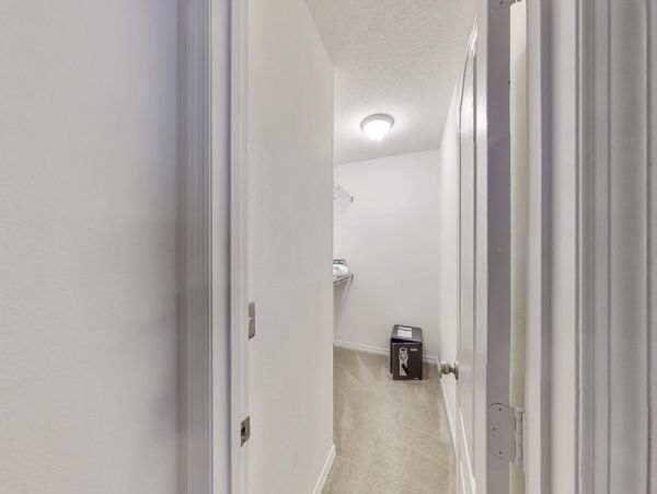 Orlando Home 982254