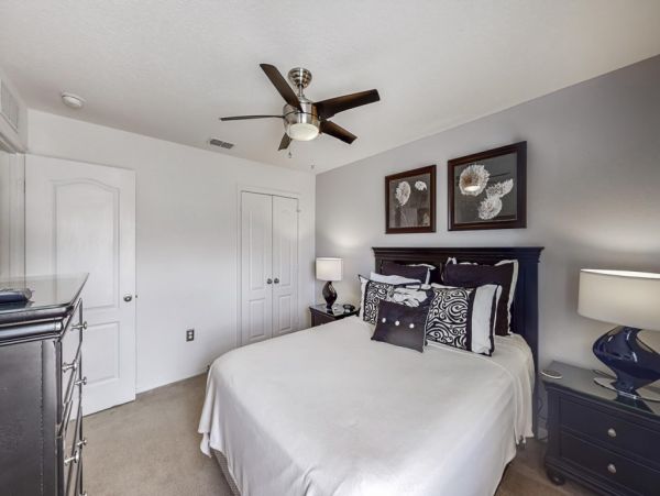 Orlando Home 982254