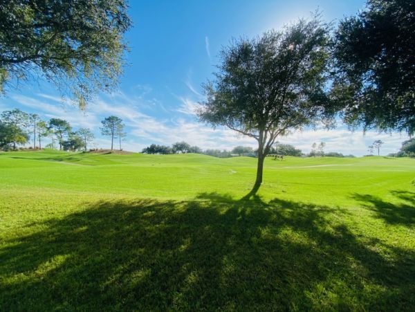 Orlando Condo 982291