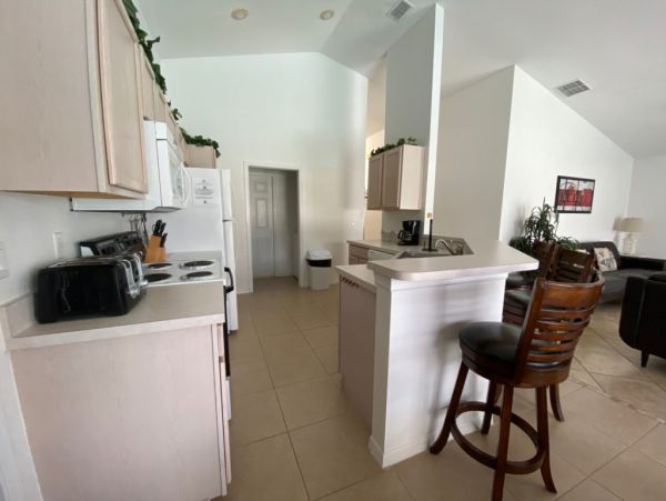 Orlando Home 982292