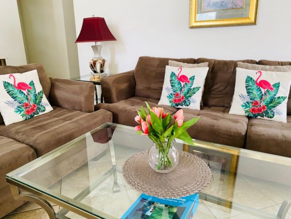 Orlando Home 982296