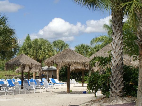 Orlando Condo 982302