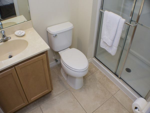 Orlando Home 982330