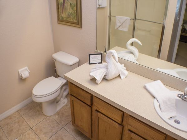 Orlando Home 982332