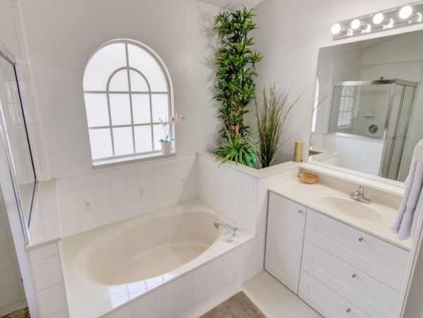 Orlando Home 982338