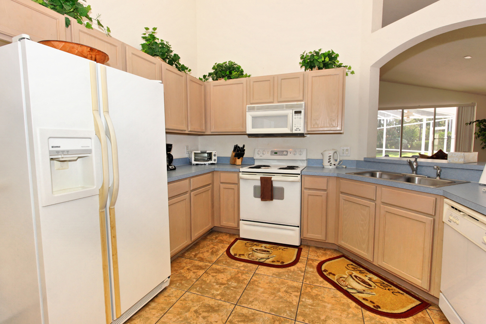 Orlando Home 982359