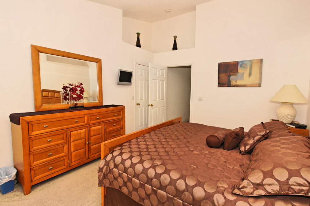 Orlando Home 982359