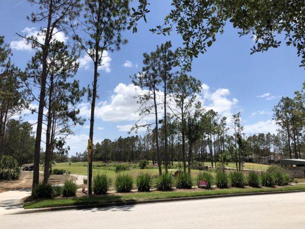 Orlando Home 982359