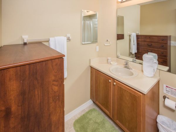 Orlando Home 982367