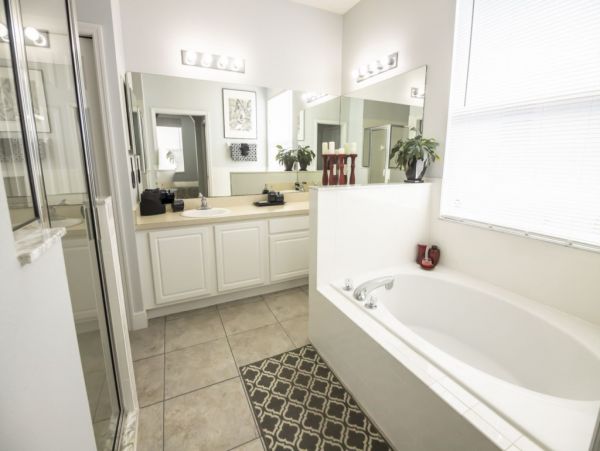Orlando Home 982387