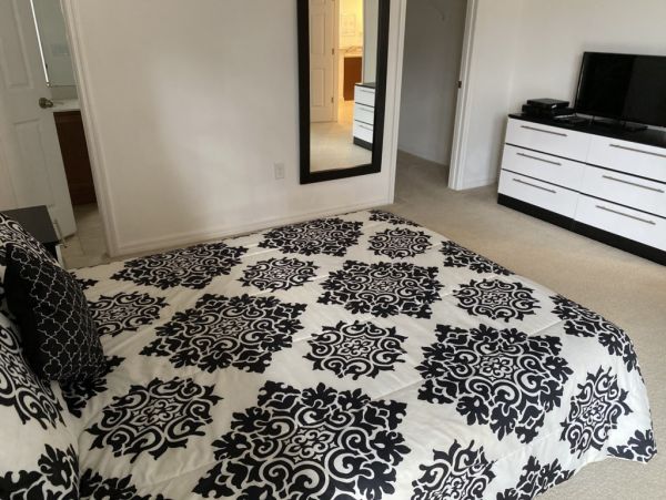 Orlando Home 982389