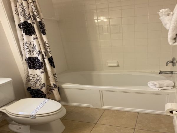 Orlando Home 982389