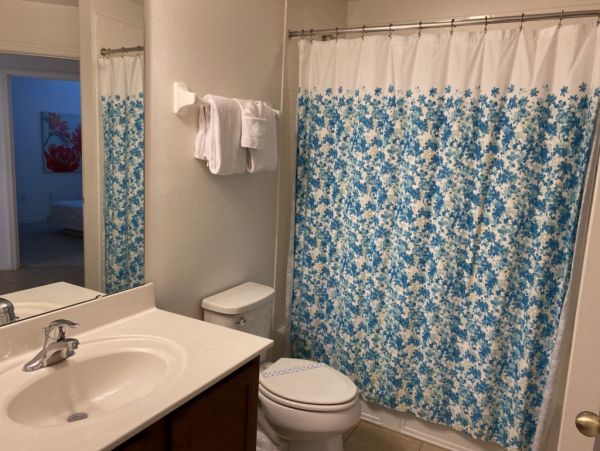 Orlando Home 982389