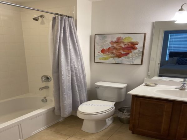 Orlando Home 982389