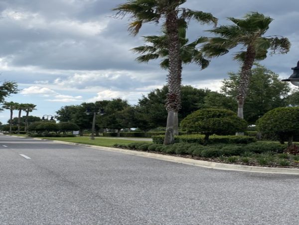 Orlando Home 982389