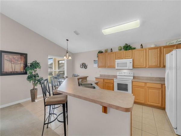Orlando Home 982394
