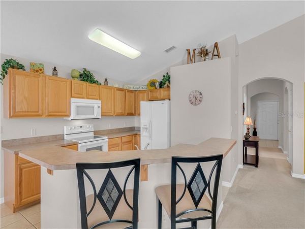 Orlando Home 982394