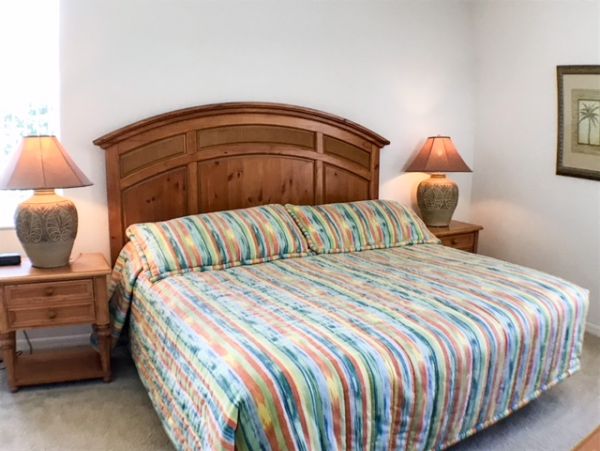 Orlando Home 982420