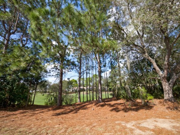 Orlando Home 982422