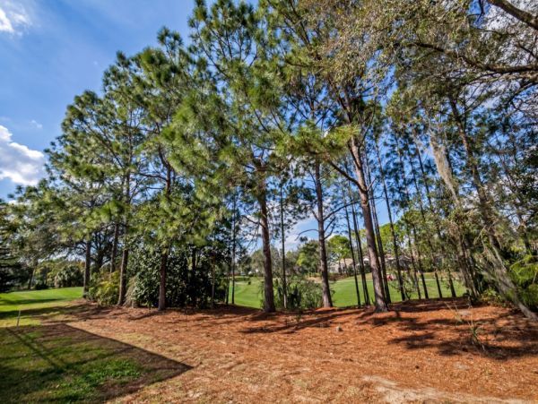 Orlando Home 982422