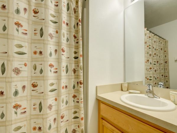 Orlando Home 982427