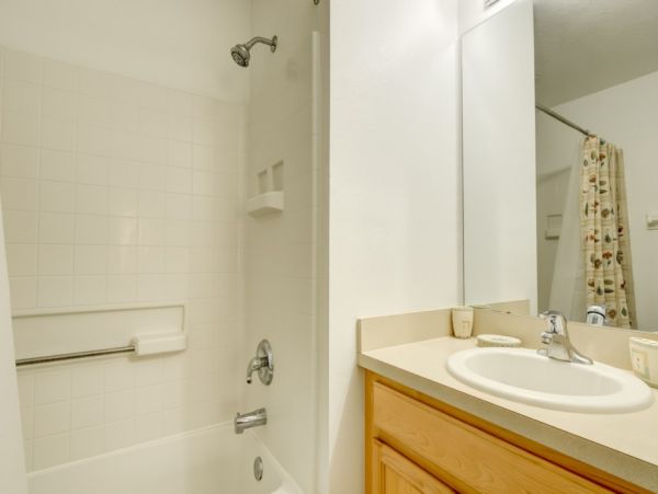 Orlando Home 982427