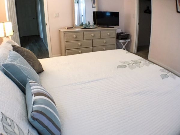 Orlando Home 982435